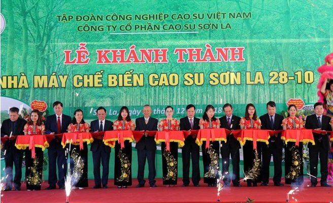 VRG khánh thành Nhà máy chế biến cao su Sơn La 28-10